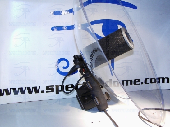 Customized surveillance systems