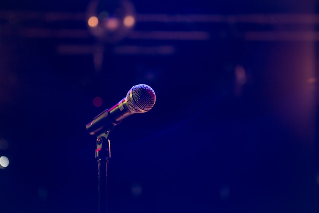 Audio surveillance microphones